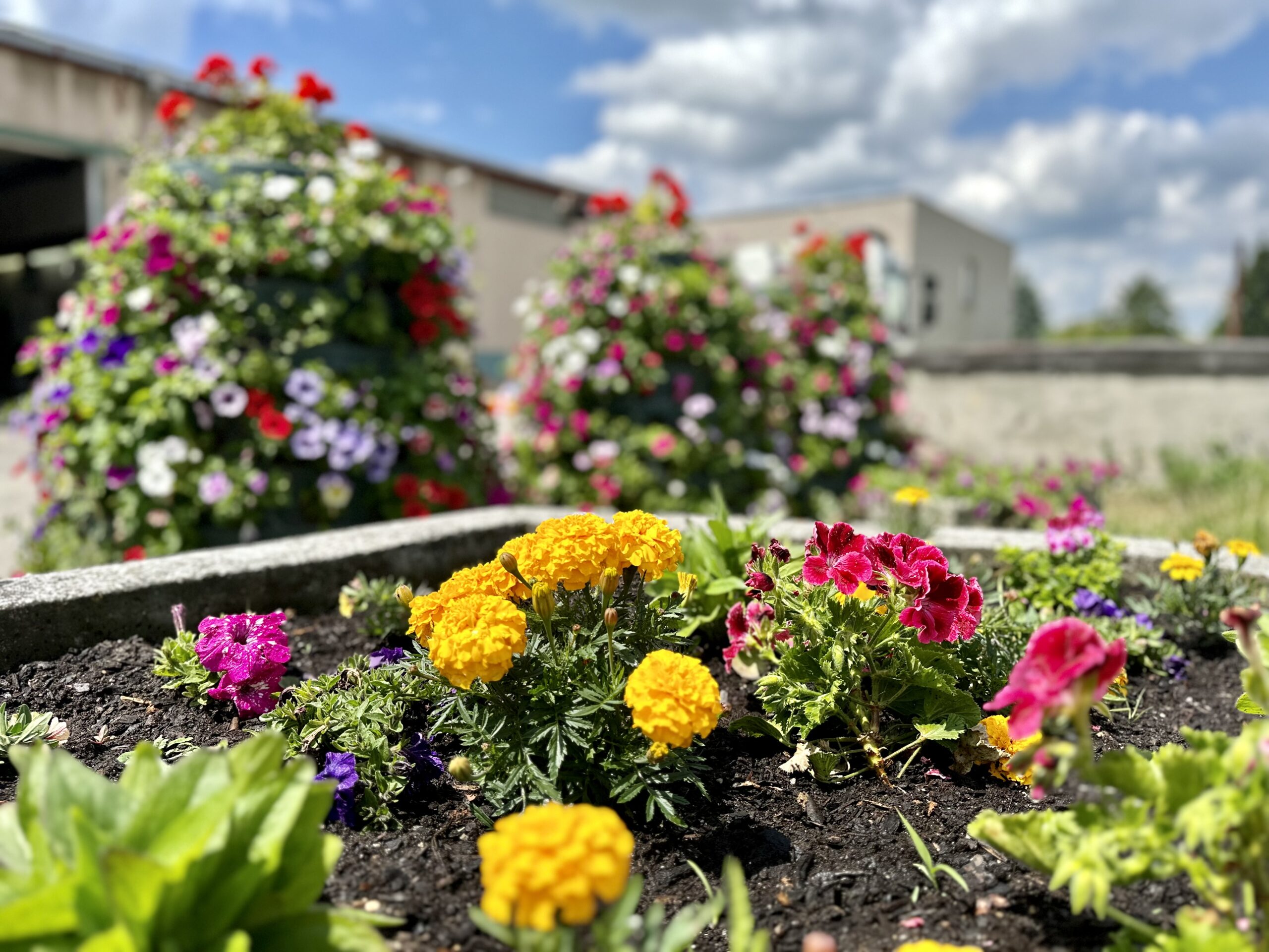 825F27AE-CA9D-4FD4-9D84-EFEC8F9E27CC